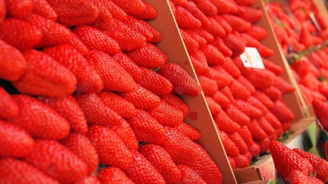 草莓自然水果食物美味背景