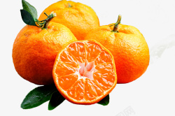 柑橘免抠元素素材