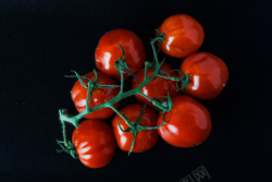 番茄6个番茄仔高清图片