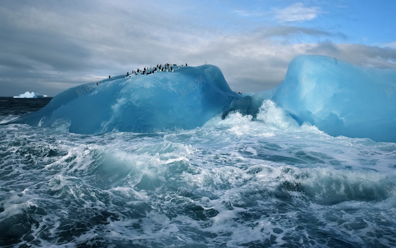 冰川海洋企鹅jpg设计背景_新图网 https://ixintu.com 冰川 海洋 企鹅 场景