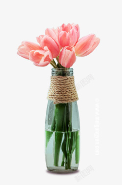 花瓶里的粉红色花素材