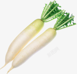 白萝卜蔬菜生鲜蔬菜萝卜白萝卜高清图片