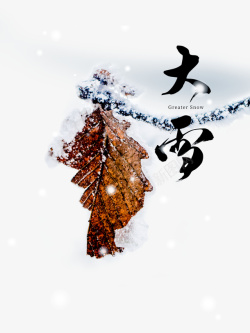 冬天大雪树叶树枝雪花二十四节气素材