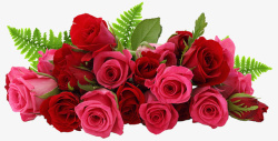 手捧鲜花的美女靓丽的玫瑰花高清图片