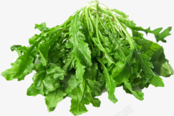 野菜新鲜嫩绿的荠菜高清图片