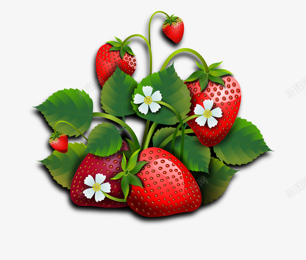 高清水果草莓蓝莓新鲜悬浮png免抠素材_新图网 https://ixintu.com 高清 水果 草莓 蓝莓 新鲜 悬浮