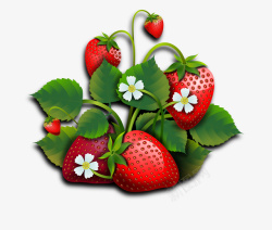 高清水果草莓蓝莓新鲜悬浮素材