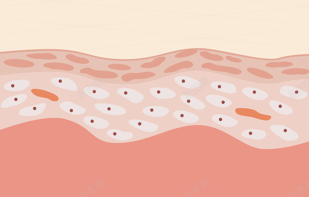 皮肤纹理结构png免抠素材_新图网 https://ixintu.com 皮肤 纹理 结构 矢量