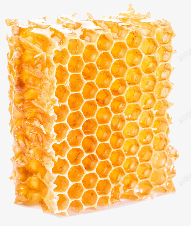 竖着方向的蜂蜜png免抠素材_新图网 https://ixintu.com 美味的 诱人的 蜂蜜 黄色的 食物