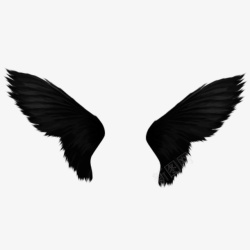 黑天使万圣节黑蝴蝶天使羽毛翅膀飞翔高清图片