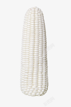 两根白色玉米一个白玉米蔬菜高清图片