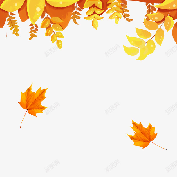 秋季枫树落叶png免抠素材_新图网 https://ixintu.com 秋天枫叶 秋季 黄色落叶 秋天的树