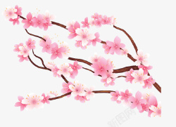 中国风水墨樱花元素素材