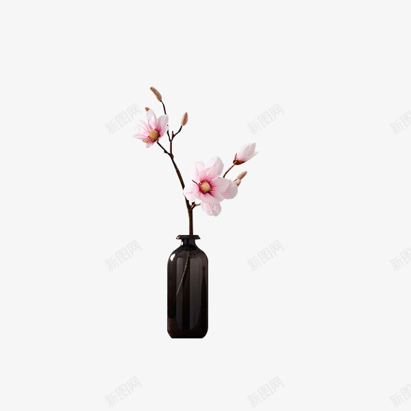 简单的黑花瓶png免抠素材_新图网 https://ixintu.com 粉红色 黑色 花瓶 装饰