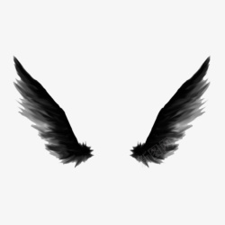 黑天使万圣节黑色羽毛翅膀天使天鹅高清图片