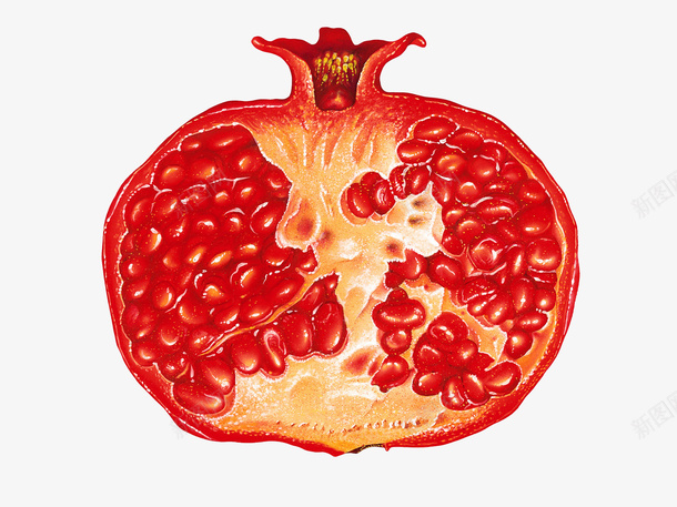 新鲜好看的石榴psd免抠素材_新图网 https://ixintu.com 石榴 切开的石榴 红色石榴 水果