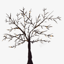 干枯的树免抠图素材