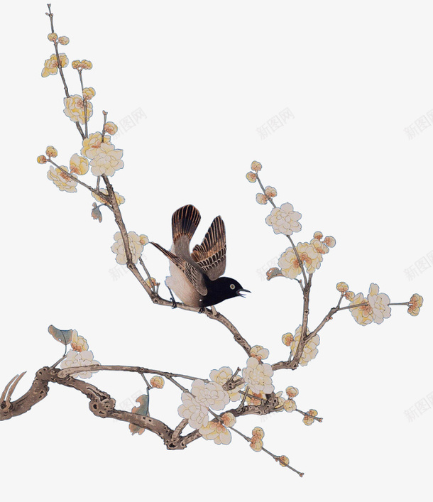 中国风叶子古风配饰花鸟png免抠素材_新图网 https://ixintu.com 中国风 叶子 古风 配饰 花 鸟