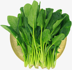 清炒菠菜蔬菜生鲜蔬菜菠菜新鲜菠菜高清图片