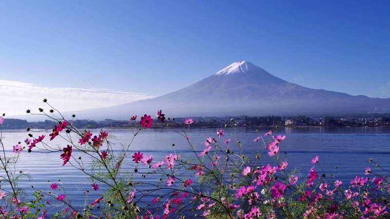 高清唯美富士山背景图片免费下载 素材m Swwsakzca 新图网 高清唯美富士山背景图片免费下载 素材m Swwsakzca 新图网