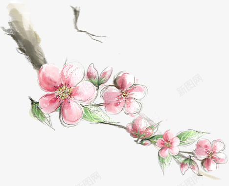 桃花枝条画面图标