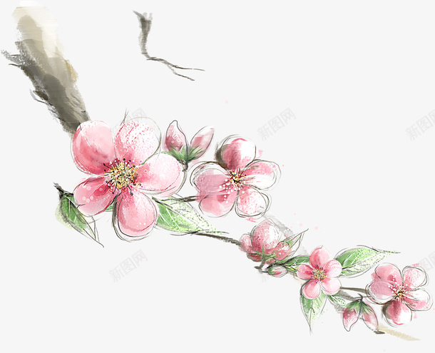 桃花枝条画面png_新图网 https://ixintu.com 桃花 枝条 画面 花 绿叶