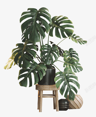 北欧风绿色的植物png免抠素材_新图网 https://ixintu.com 北欧风 绿色植物 室内装饰 桌子花盆
