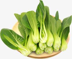 生鲜蔬菜素材banner一盘新鲜的小青菜高清图片
