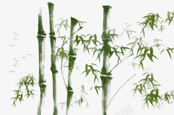 竹子图片海报素材下载素材