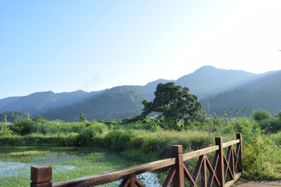 美丽校园旗山风景背景