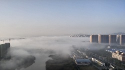晨雾在清晨的晨雾中醒来高清图片