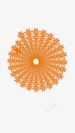 螺旋式枫叶螺旋展示高清图片