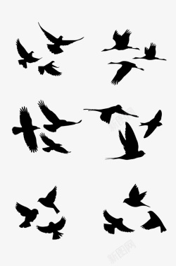 调节矛盾各种鸟类剪影矢量素材高清图片