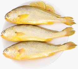 新鲜冰冻黄花鱼一盘新鲜的黄花鱼高清图片