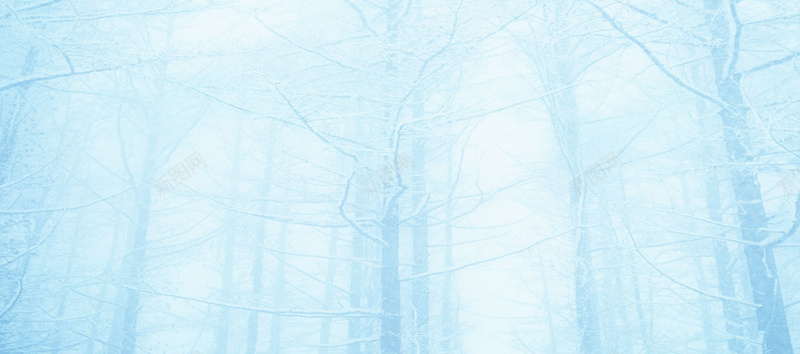 冬季树林雪花背景背景
