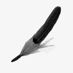 黑色长条柜子黑色羽毛长条羽毛高清图片