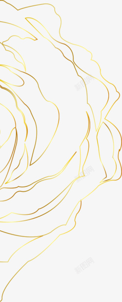 金色枫花金色花框花纹高清图片