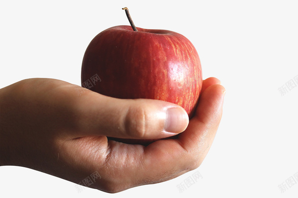 苹果手里拿着的苹果水果png免抠素材_新图网 https://ixintu.com 苹果 食物 水果 手里的水果