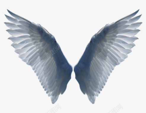 翅膀T201936httpj图标