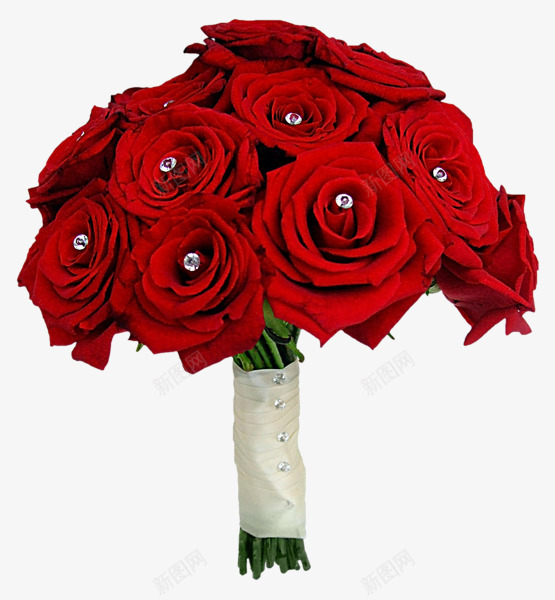 rose66855555600花瓶花束等T2020png_新图网 https://ixintu.com rose66855555600 花瓶 花束 T2020