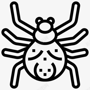 蜘蛛蜘蛛纲家养图标
