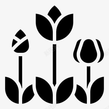 郁金香植物学彩色图标