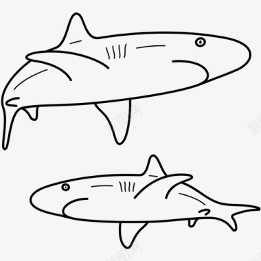 鲨鱼游泳身体狩猎图标