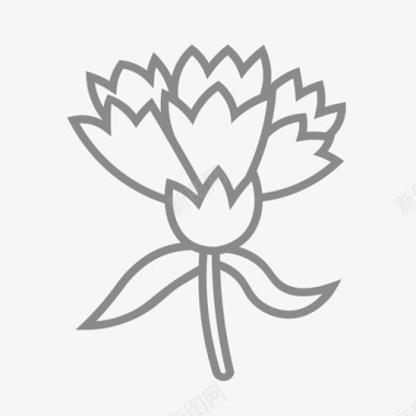 康乃馨图标