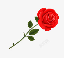 一枝红色玫瑰花植物配图素材
