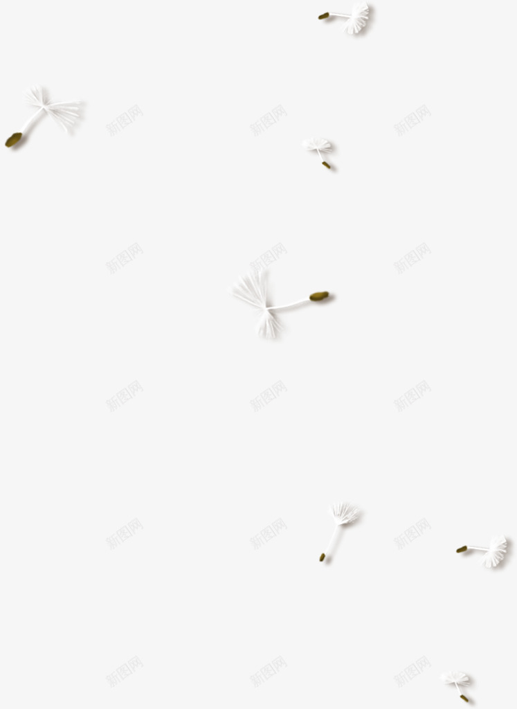 1漂浮小物件透明png免抠素材_新图网 https://ixintu.com 小物件 漂浮 漂浮物 蜻蜓 透明
