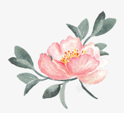 手绘花朵花植物图素材