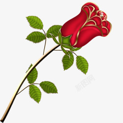 免扣玫瑰花花卉花素材
