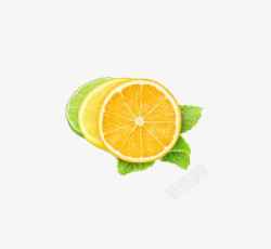橙子水果柠檬自然类素材