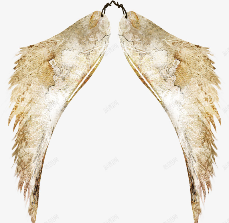 美丽的翅膀png免抠素材_新图网 https://ixintu.com 米黄色 羽毛 一对 铁丝 挂连的 翅膀  彩色 光亮 大翅膀